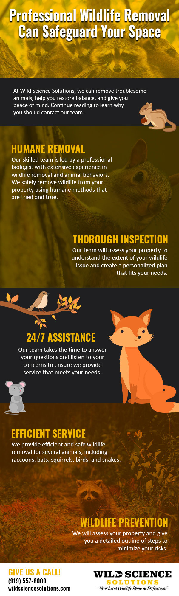Professional Wildlife Removal Can Safeguard Your Space