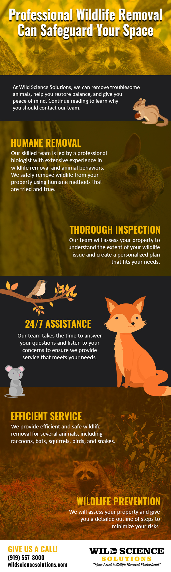 Keep Your Home Safe by Hiring Wildlife Experts